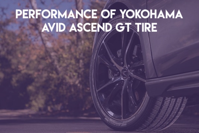 Avid Ascend GT Performance Review